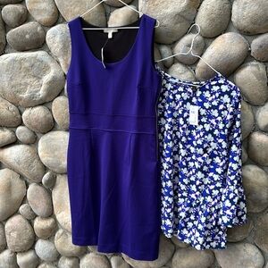 NWT Banana Republic Violet Purple Bundle!